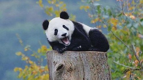 韩国娱乐圈的那些“大瓜”与“嘴形吃瓜”趣事,你知道吗?🍿