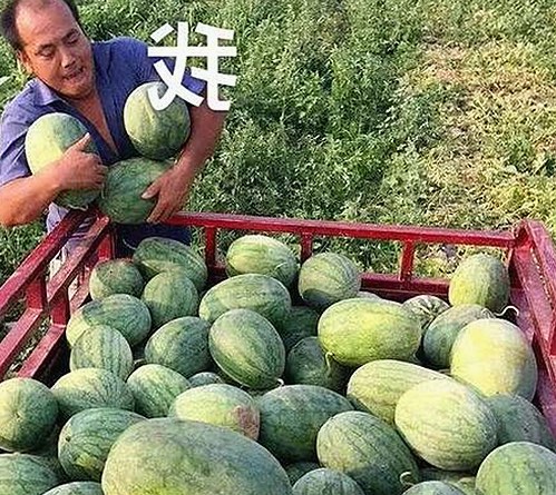 张津瑜厕所门视频再爆，昔日警花形象跌落谷底