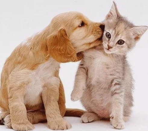 网传“花儿姐”私拍视频曝光，网友纷纷热议“禁忌”新篇章