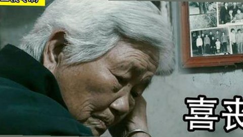 国产熟女操内幕曝光，圈内讨论热烈引发关注