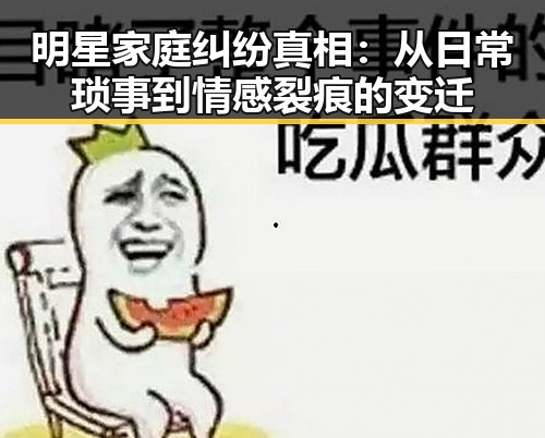 明星家庭纠纷真相：从日常琐事到情感裂痕的变迁