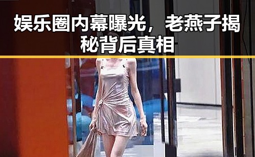 娱乐圈内幕曝光，老燕子揭秘背后真相