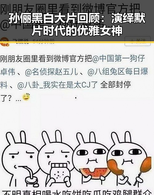 孙俪黑白大片回顾：演绎默片时代的优雅女神